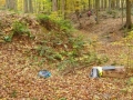 2021_waldwoche2